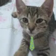 Nick 