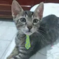 Nick 
