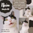 Neim