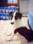 Sophie