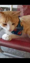 Bob