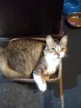 NALA