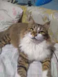 NALA