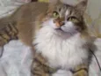NALA