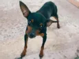BILU