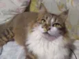 NALA