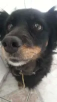Lili
