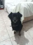 Lili
