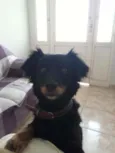 Lili