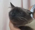 Nick