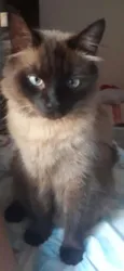 Nick