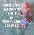 Bebês