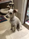 Denis