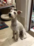 Denis