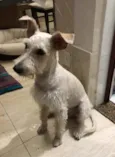Denis