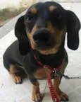 Jully