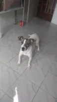 Cecilia