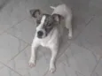 Cecilia