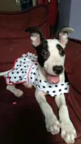 Nina