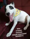 Nina