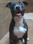 Ella