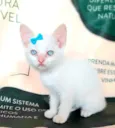 Sem nome