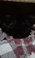 Não tem nome