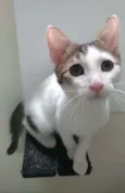 Théo