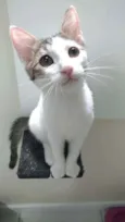 Théo