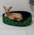 Mel