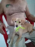 Mel