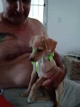 Mel