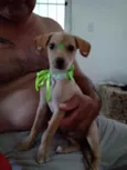 Mel