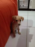 Mel