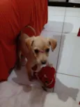 Mel
