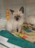 Jane