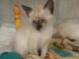 Jane