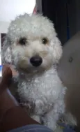Tobby