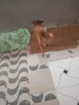 Não sei