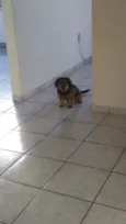 Paçoca