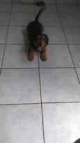 Paçoca