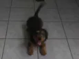 Paçoca