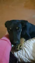 Paco