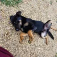Paco