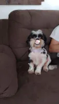 Meg