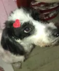 Princesa