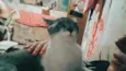 Tatá