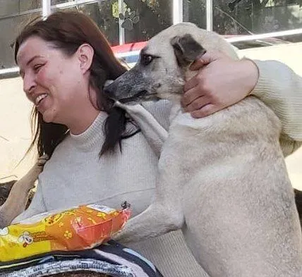 Cachorro ra a SRD-ViraLata idade 6 ou mais anos nome MILK