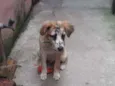 Malhando