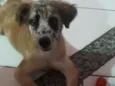 Malhando